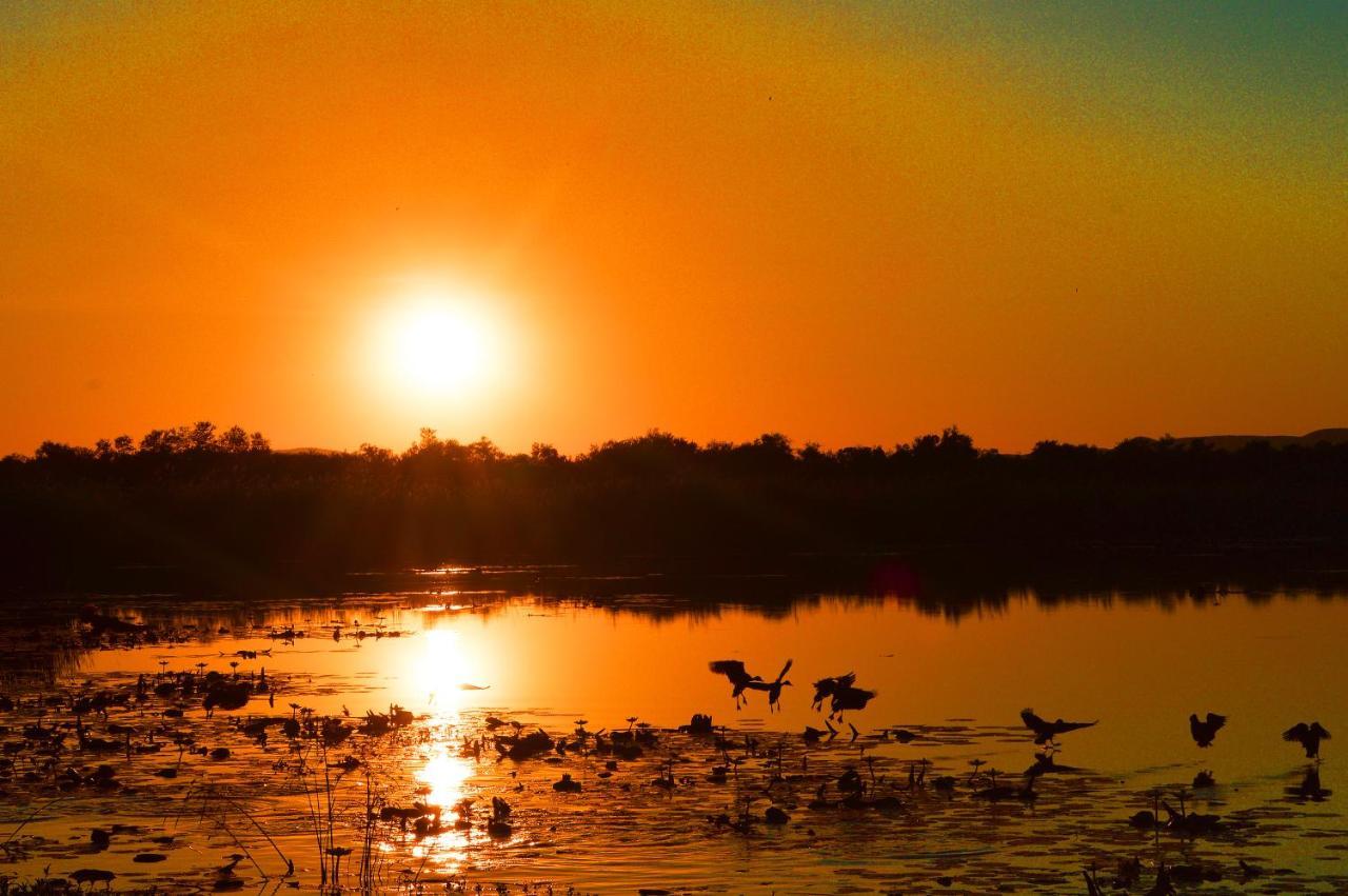 Crocodile Pools River Safaris 哈博罗内 外观 照片